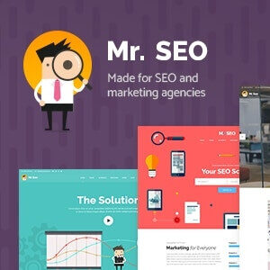 Mr-SEO-Social-Media-Marketing-Agency-Theme-imw3-th.jpg